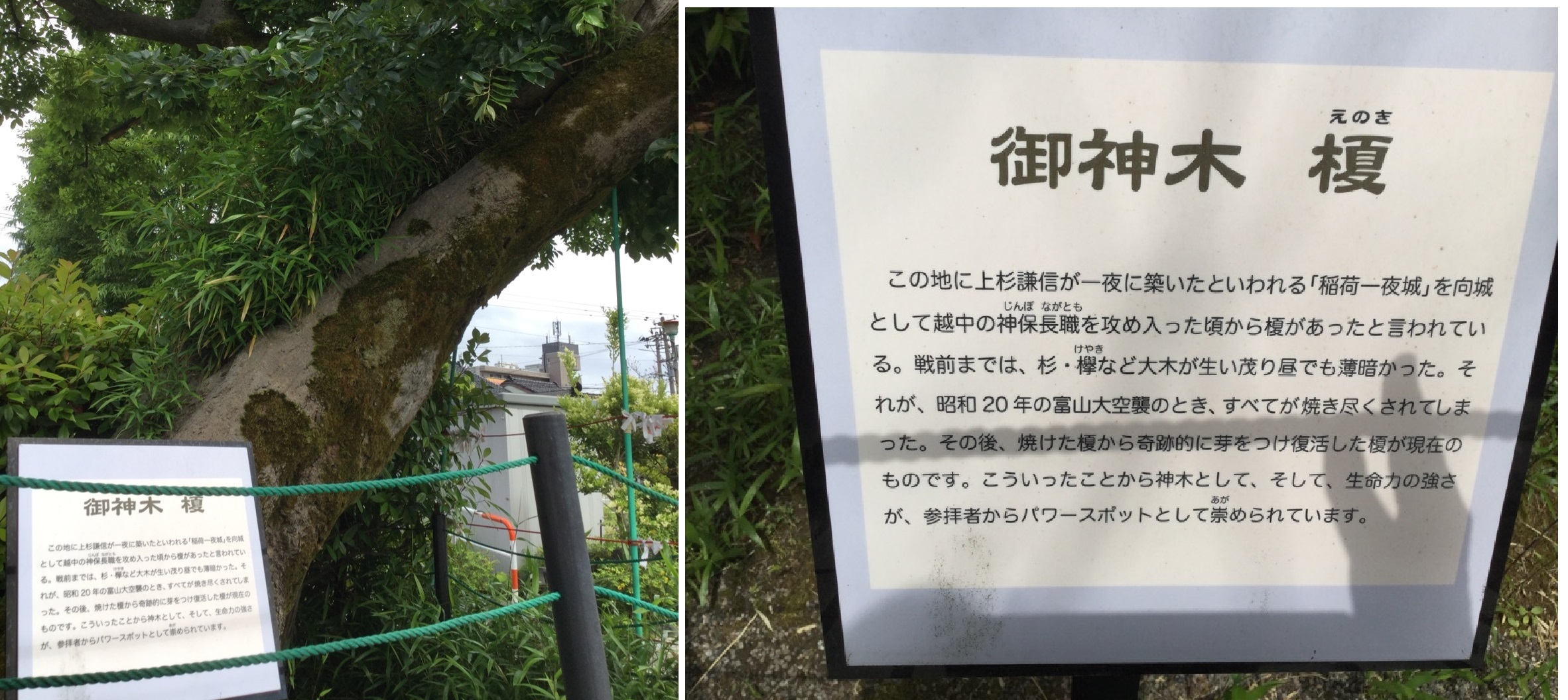 公式】宝くじチャンスセンター 公式】宝くじチャンスセンター