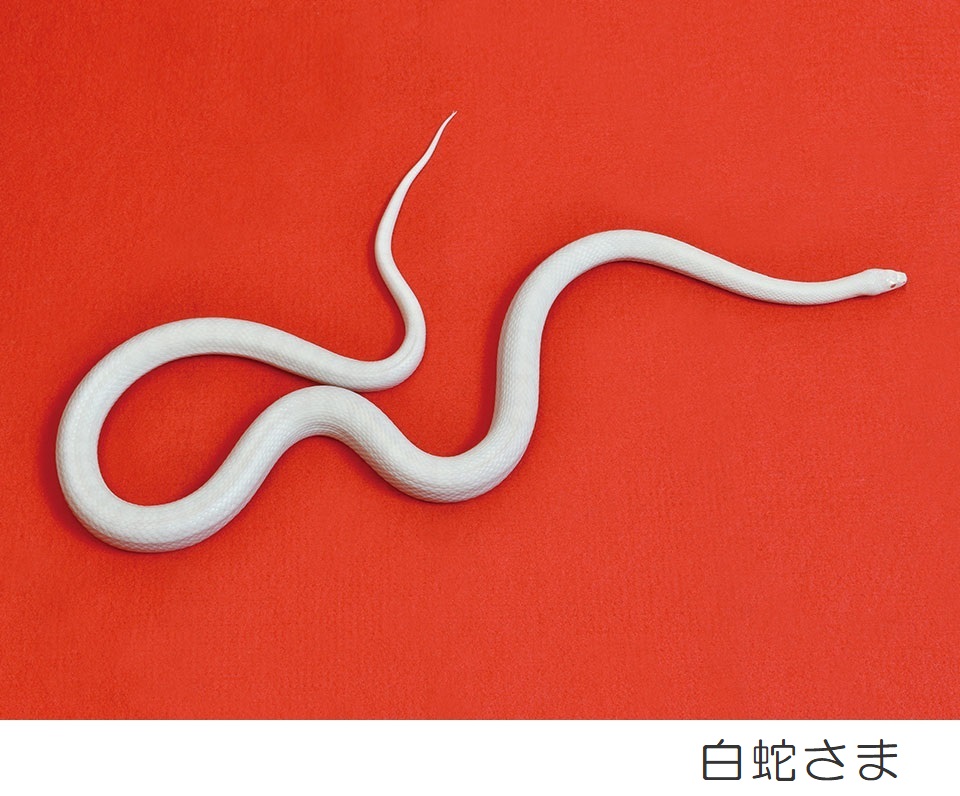 公式】宝くじチャンスセンター