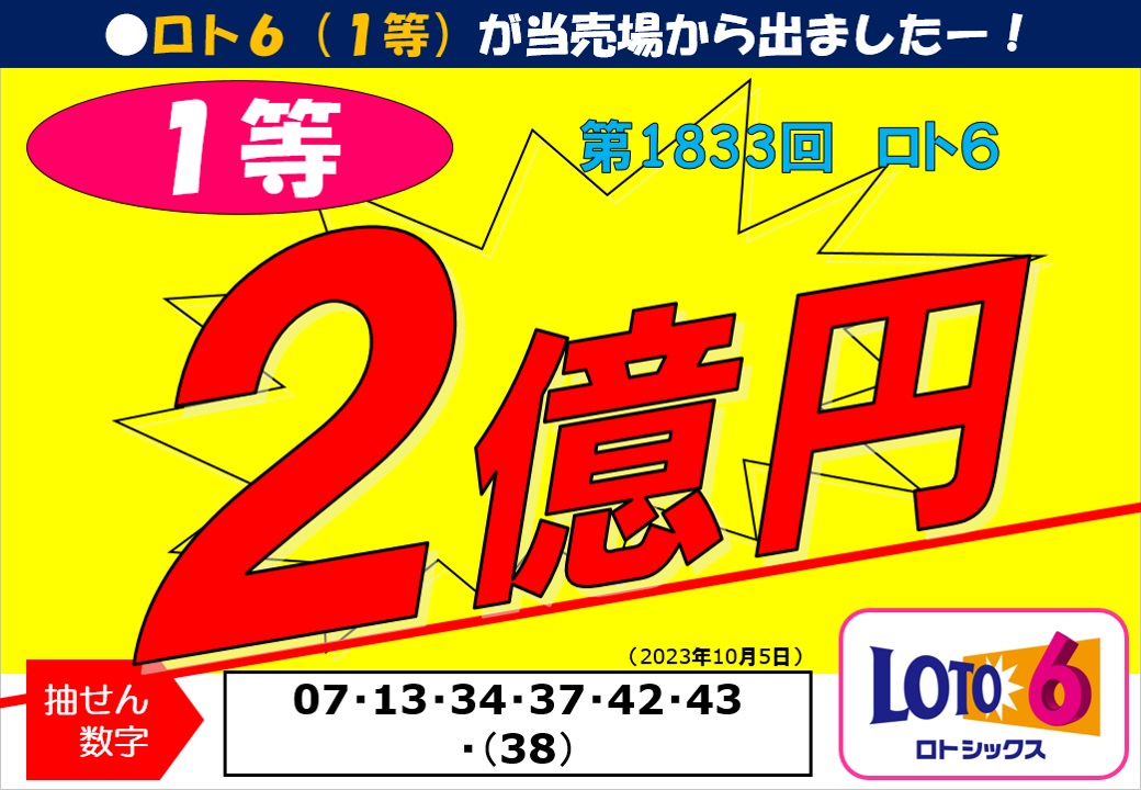 通販生活 ファッション 公式】宝くじチャンスセンター コレクション
